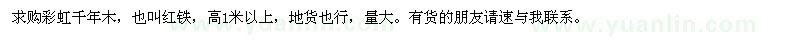 求購(gòu)高1米以上彩虹千年木