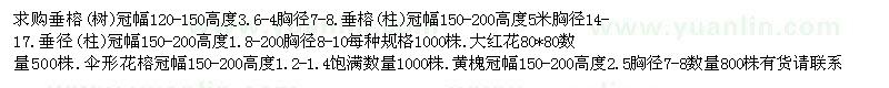 求購垂榕(樹)、垂榕(柱) 大紅花、黃槐 