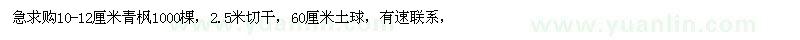 求購10-12公分青楓