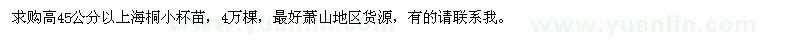 求購高45公分以上海桐小杯苗