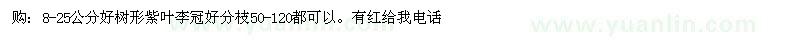 求購8-25公分好樹形紫葉李