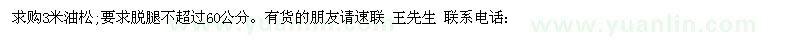 求購求購3米油松