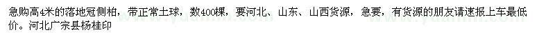 求購(gòu)落地冠側(cè)柏