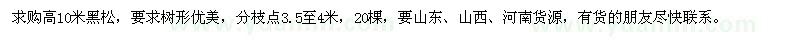 求購(gòu)高10米黑松
