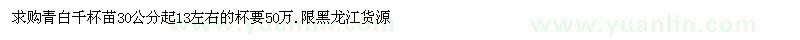求購青白千杯苗
