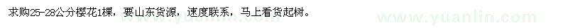 求購25-28公分櫻花