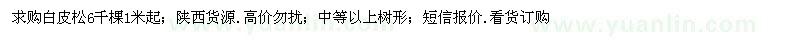 求購(gòu)1米起白皮松