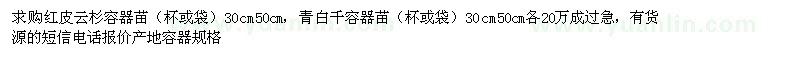 求購(gòu)紅皮云杉、青白千容器苗