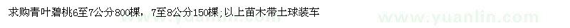 求購(gòu)6-7、7-8公分青葉碧桃