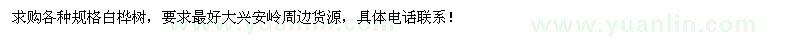 求購各種規(guī)格白樺樹