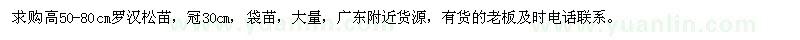 求購高50-80公分羅漢松苗