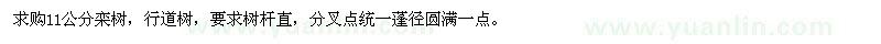 求購11公分欒樹