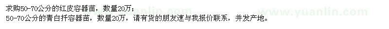 求購(gòu)紅皮容器苗、青白扦容器苗