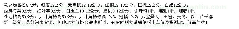 求購(gòu)雪松、銀杏、元寶楓、法桐等苗木