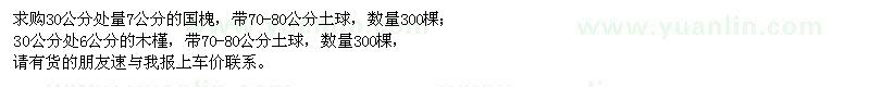 求購7公分國槐、6公分木槿