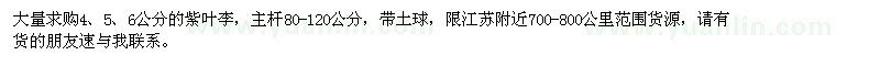 求購4、5、6公分紫葉李