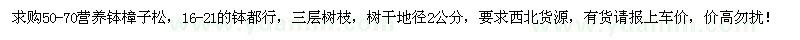 求購(gòu)50-70公分營(yíng)養(yǎng)缽樟子松