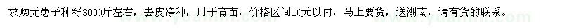 求購(gòu)無(wú)患子種籽