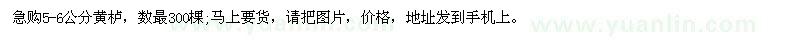 求購5-6公分黃櫨