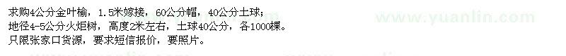 求購金葉榆、火炬樹