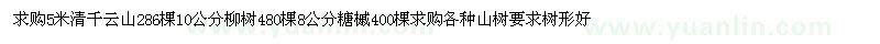 求購清千云杉、柳樹、糖槭
