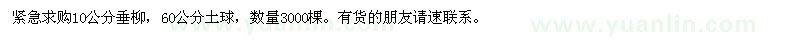 求購10公分垂柳