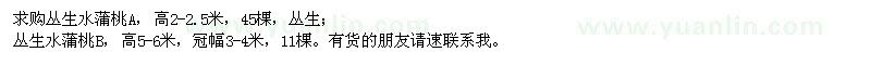 求購高2-2.5、5-6米叢生水蒲桃