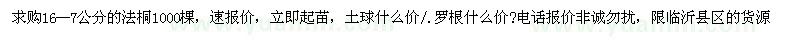 求購16--7公分法桐