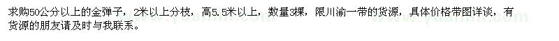求購50公分以上金彈子