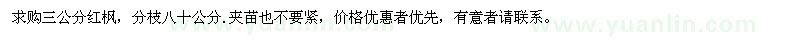 求購3公分紅楓