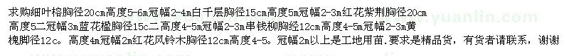 求購細葉榕、紅花紫荊、藍花楹