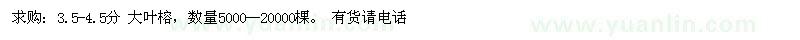 求購3.5-4.5分大葉榕