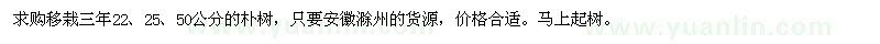 求購22、25、50公分樸樹