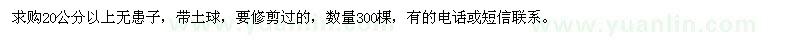 求購20公分以上無患子