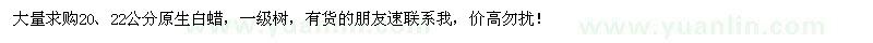 求購20、22公分原生白蠟