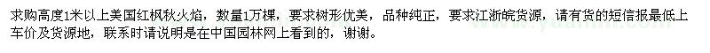 求購高度1米以上美國紅楓秋火焰