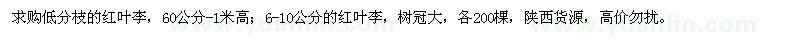 求購高60公分-1米、6-10公分紅葉李