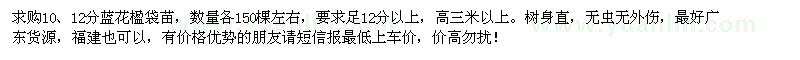 求購(gòu)10、12公分藍(lán)花楹袋苗