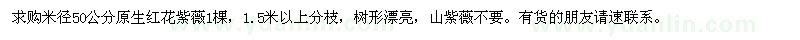 求購米徑50公分原生紅花紫薇
