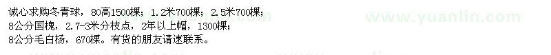 求購(gòu)冬青球、國(guó)槐、毛白楊