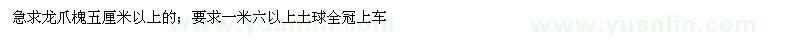 求購五公分以上龍爪槐