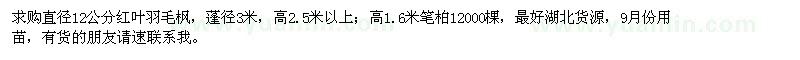 求購(gòu)直徑12公分紅葉羽毛楓、高1.6米筆柏