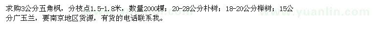 求購五角楓、樸樹、櫸樹、廣玉蘭