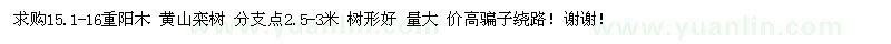 求購15.1-16公分重陽木、黃山欒樹