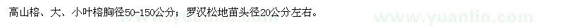 求購(gòu)高山榕、大（?。┤~榕