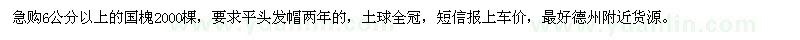求購6公分以上國槐