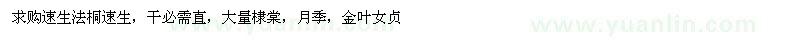 求購速生法桐、棣棠、月季