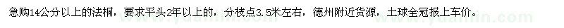 求購14公分以上法桐