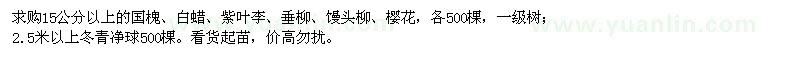 求購(gòu)國(guó)槐、白蠟、紫葉李
