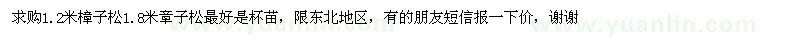 求購1.2米樟子松